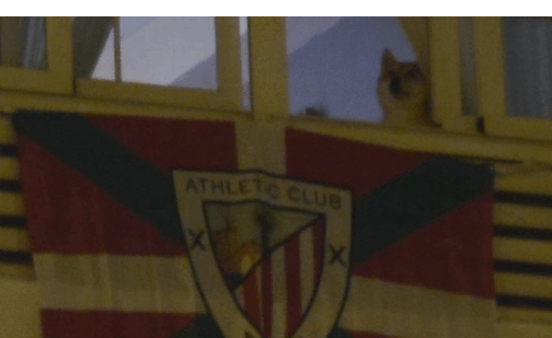 Les amenazan e insultan por colgar una bandera del Athletic del balcón de su casa en Madrid