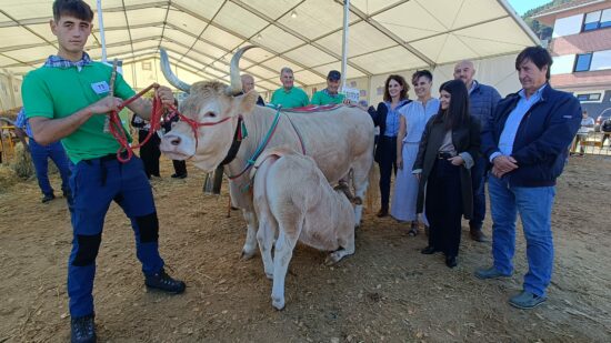 Estos son los ganadores del campeonato de vaca pirenaica del Primer Lunes de Gernika