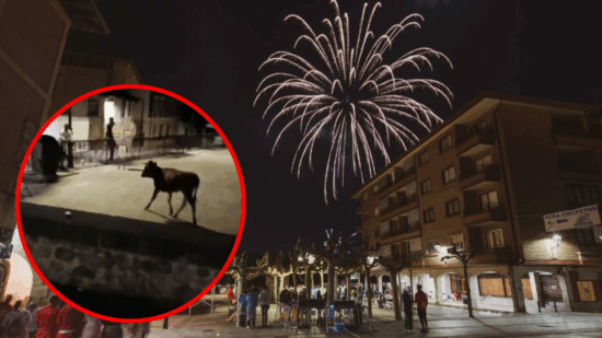Continúa la búsqueda de la vaquilla desaparecida en fiestas de Medina de Pomar