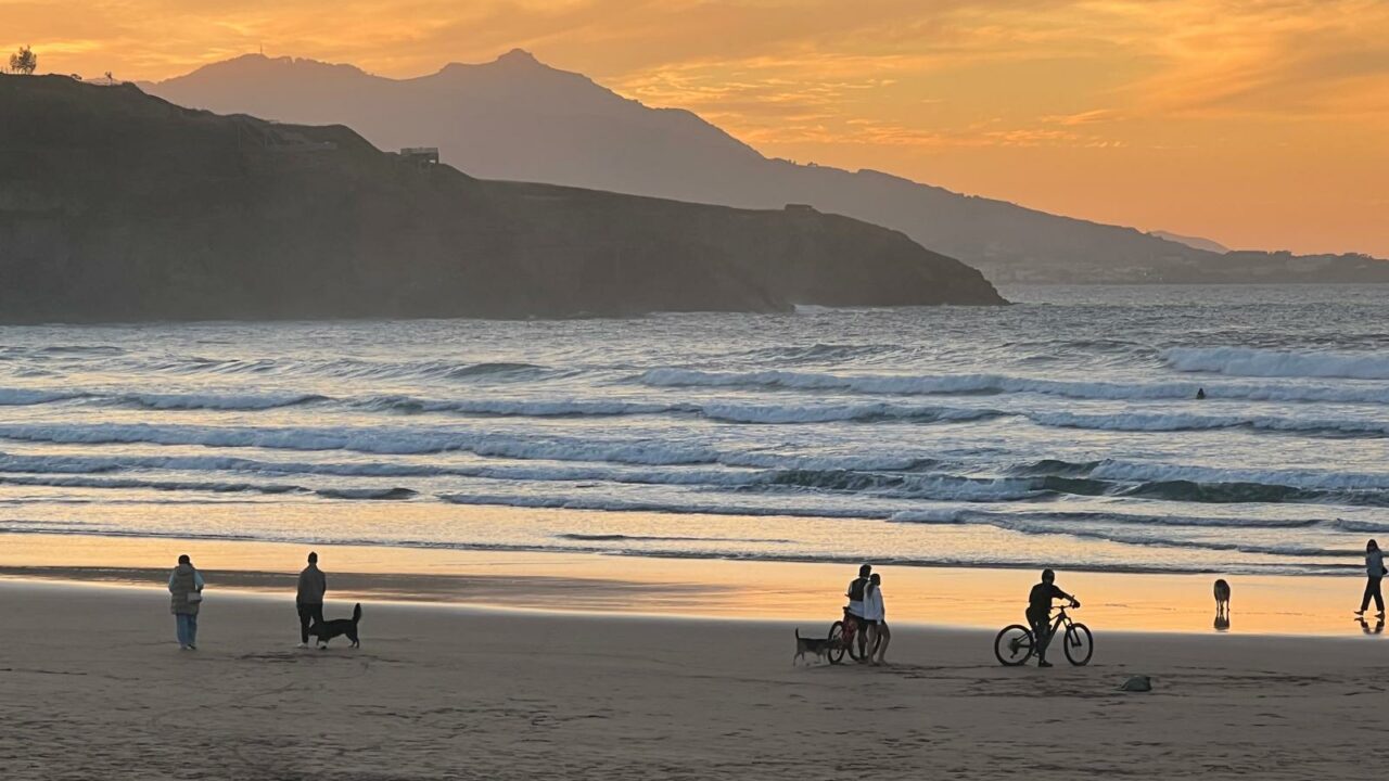 Patas a la arena: los perros recuperan su sitio en las playas de Bizkaia