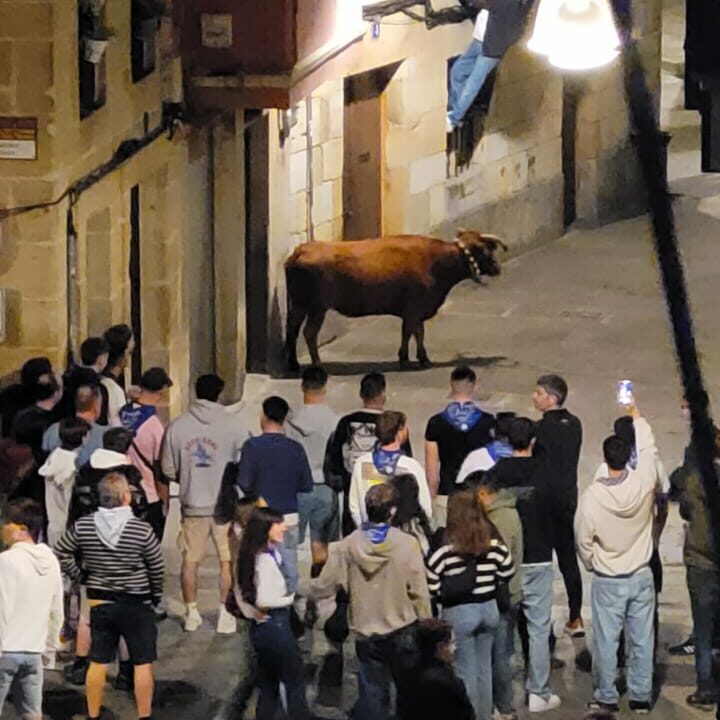 Concluyen las vaquillas de San Fausto con 10 heridos, dos de ellos trasladados