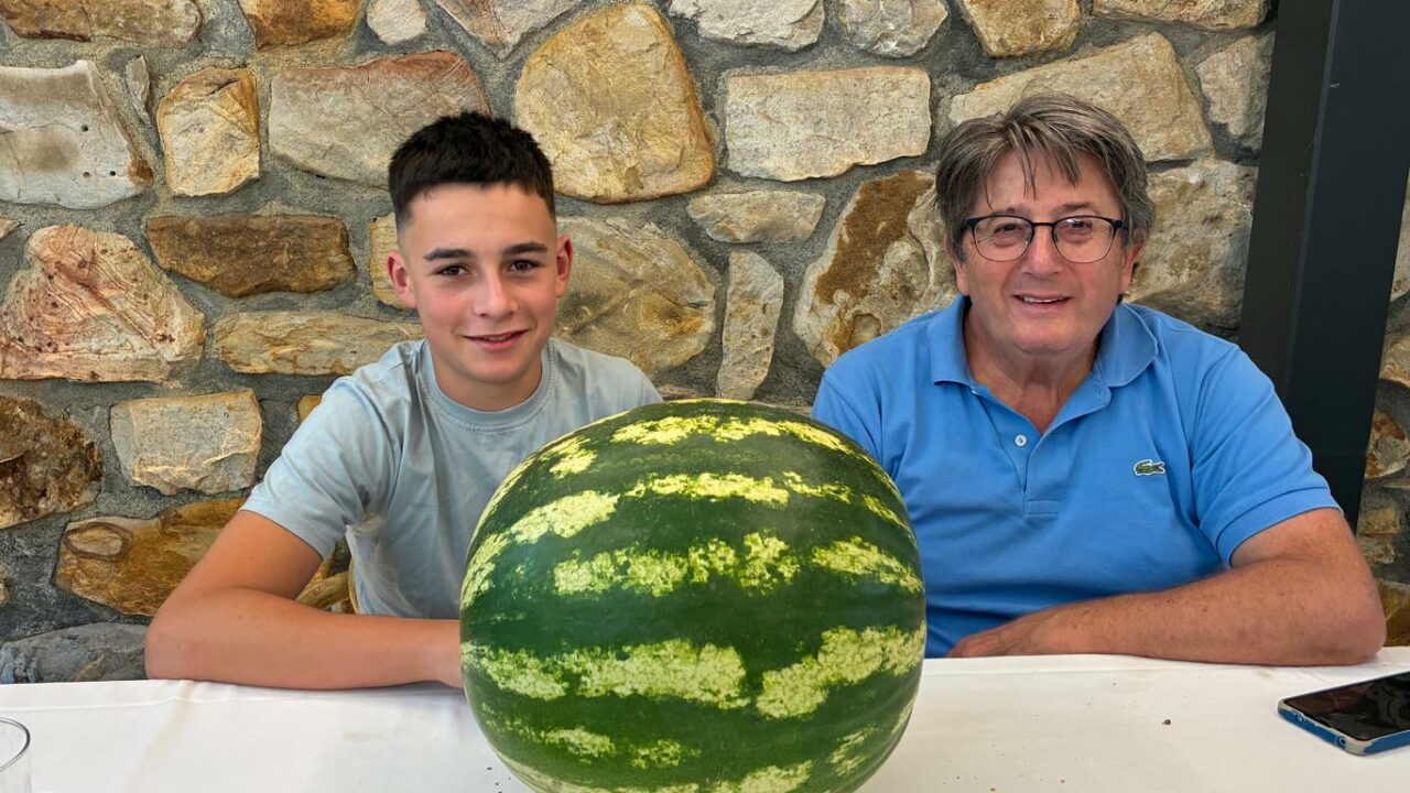 Pedazo de sandía: pesa casi 12 kilos… ¡y creció junto a una cuadra!