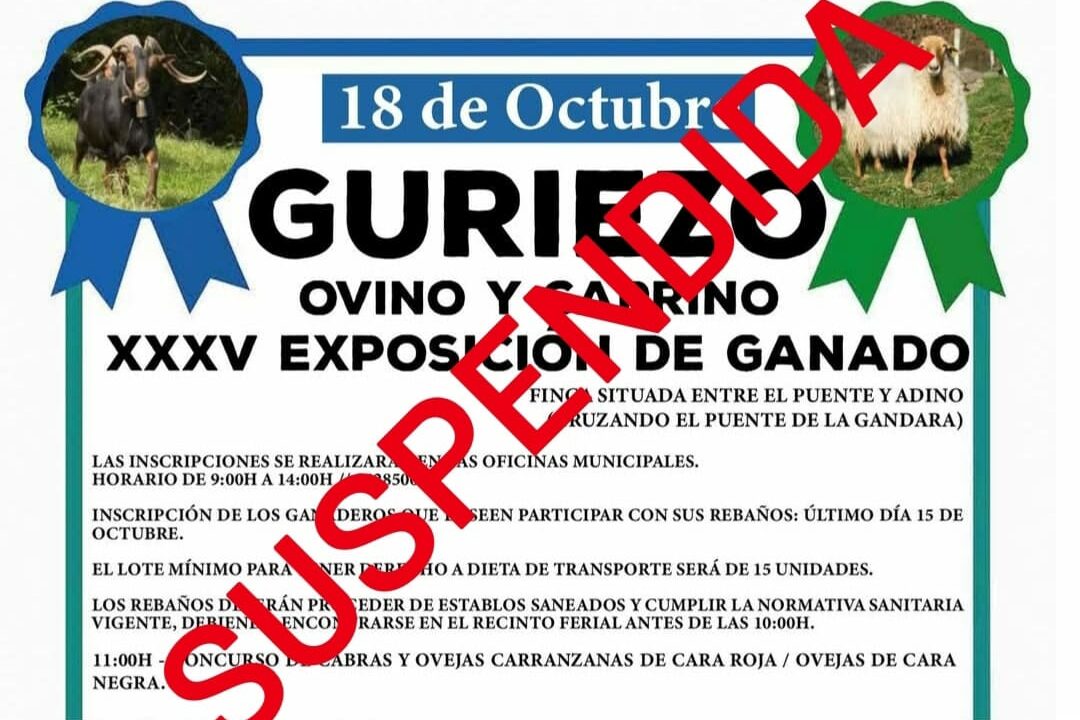 Guriezo cancela la feria ovina y caprina de este sábado por riesgo de dermatosis nodular contagiosa