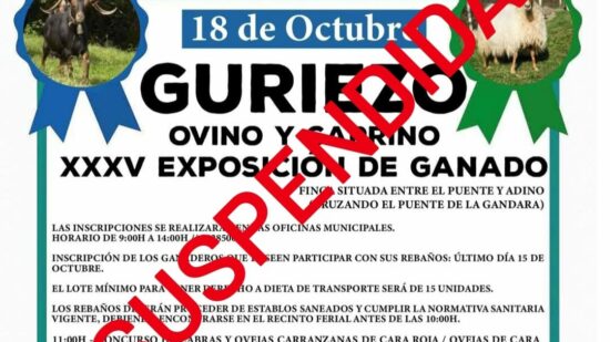 Guriezo cancela la feria ovina y caprina de este sábado por riesgo de dermatosis nodular contagiosa
