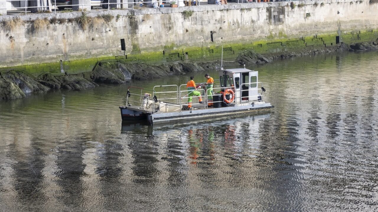 ¿Quieres ayudar a proteger la Ría de Bilbao este fin de semana?