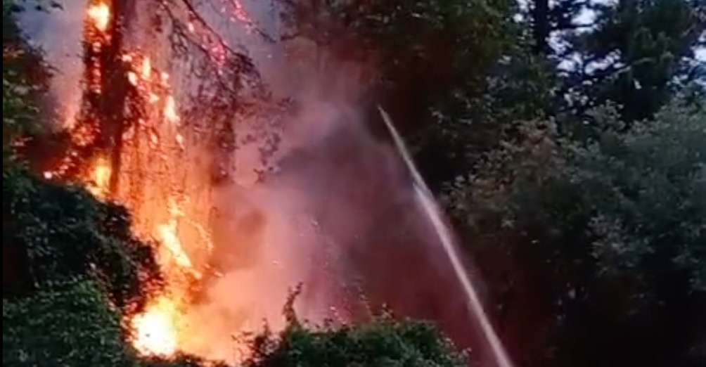 Reactivado el incendio de Güeñes debido al fuerte viento