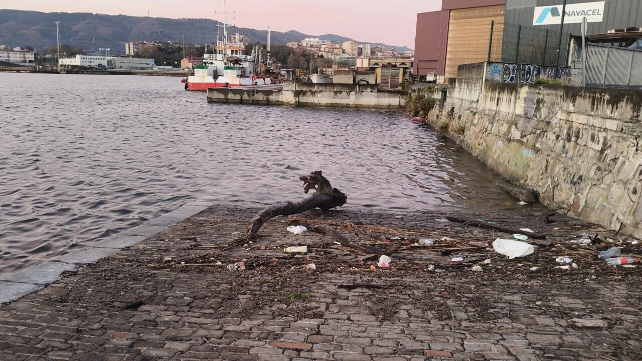 La ría acoge un extraño tronco que parece un dragón