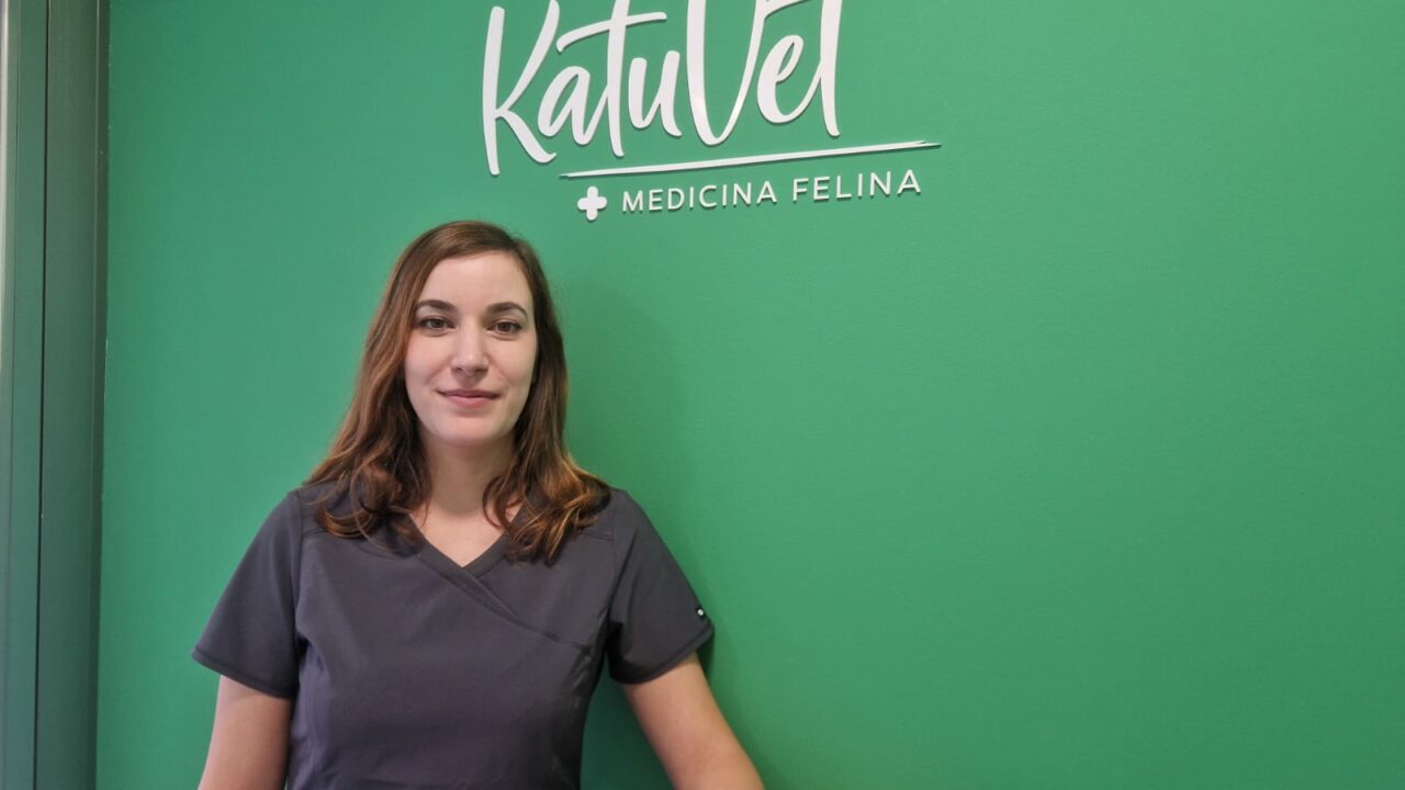 Cómo detectar un cáncer en tu gato: los síntomas que no debes pasar por alto