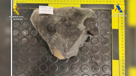 Contrabando de piezas históricas en el aeropuerto de Bilbao