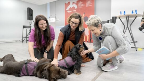 El programa pionero de Bizkaia contra el abuso sexual infantil cumple 25 años