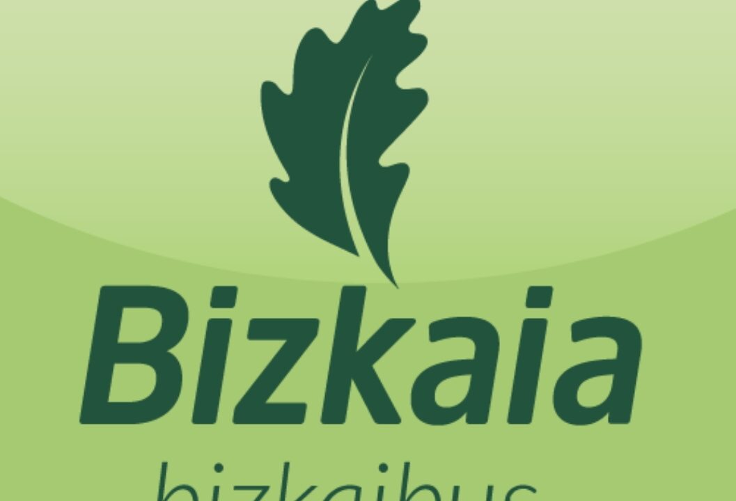 Bizkaibus lamenta el trágico accidente de Berriz: «Todo nuestro apoyo a las familias»