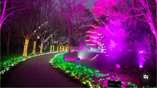 El bosque mágico de la Navidad a menos de hora y media de Bilbao