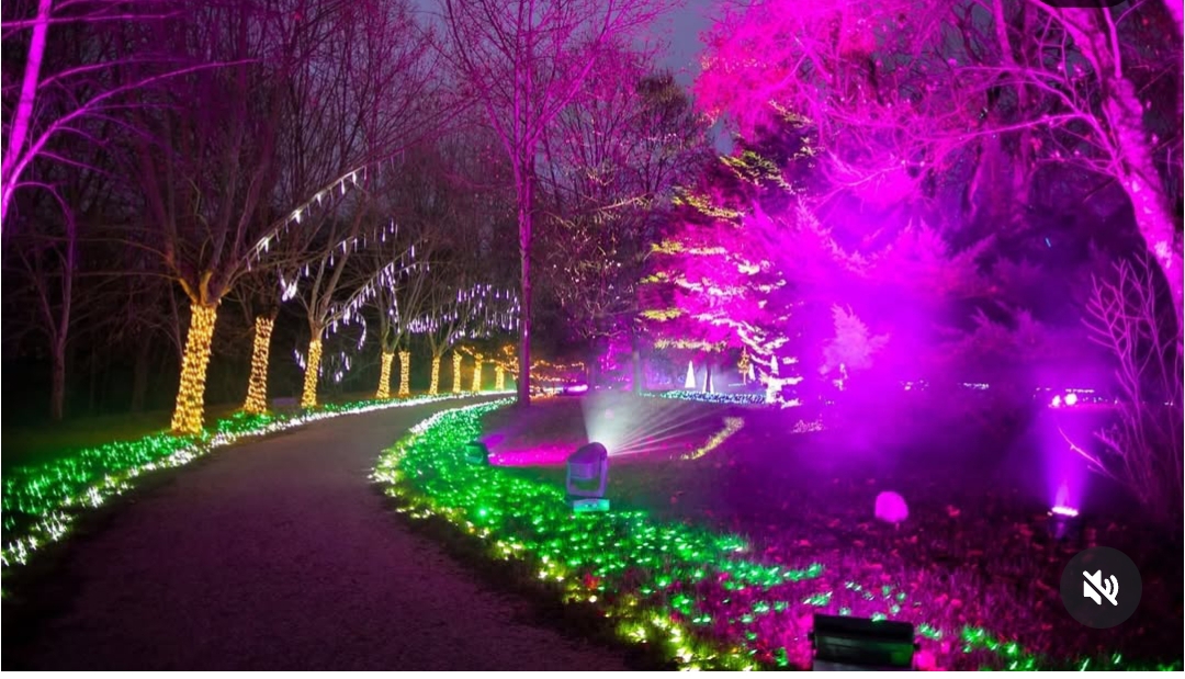 El bosque mágico de la Navidad a menos de hora y media de Bilbao