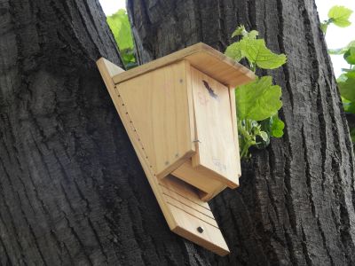Getxo organiza un taller para crear cajas nido que después se colocarán en parques y jardines del municipio