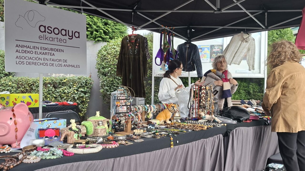 El mercado solidario para salvar a los gatos de Zalla