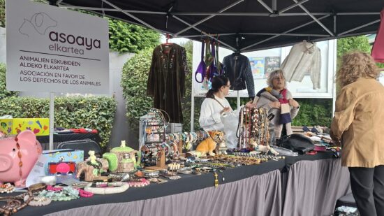 El mercado solidario para salvar a los gatos de Zalla