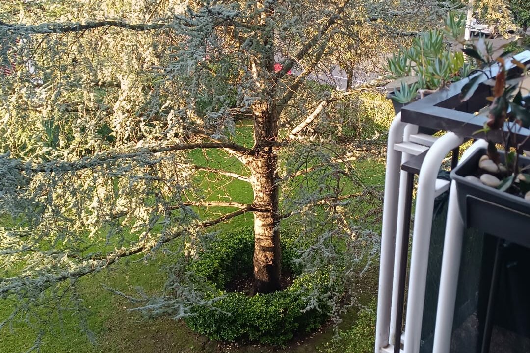 “Han subido escalando, es algo que no esperas”: Mikel, vecino de Leioa denuncia el robo en su vivienda