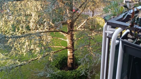 “Han subido escalando, es algo que no esperas”: Mikel, vecino de Leioa denuncia el robo en su vivienda