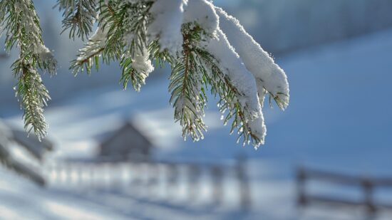 Empieza el invierno que se alagará hasta el 20 de marzo