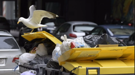 FACUA Euskadi denuncia irregularidades en la tasa de basuras de Durango y anima a reclamar su devolución