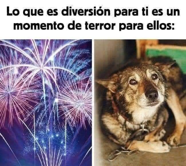 Vecinos de Basauri recogen firmas para endurecer la ley de pirotecnia y proteger a niños y mascotas