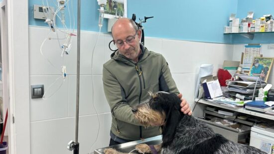 Final feliz: Pistolas aparece cerca de Arcentales