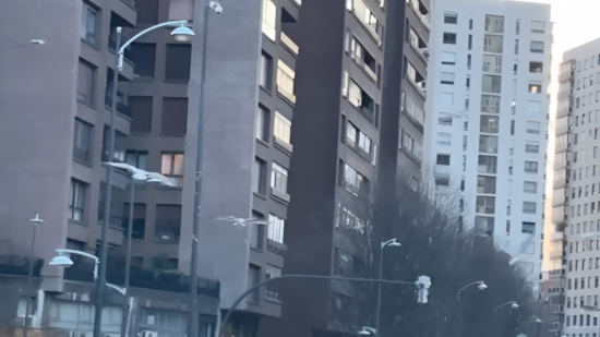 Invasión de gaviotas en San Mamés: el fenómeno que sorprende en Bilbao a nuestros oyentes