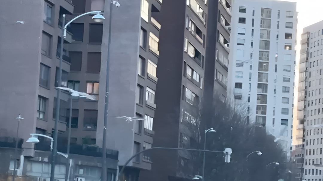 Invasión de gaviotas en San Mamés: el fenómeno que sorprende en Bilbao a nuestros oyentes