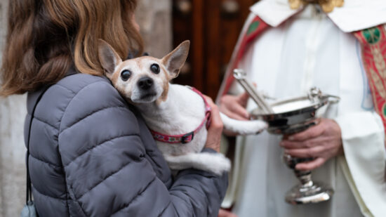 Llega San Antón a Euskadi: tradición, bendición de animales y actividades que no te puedes perder