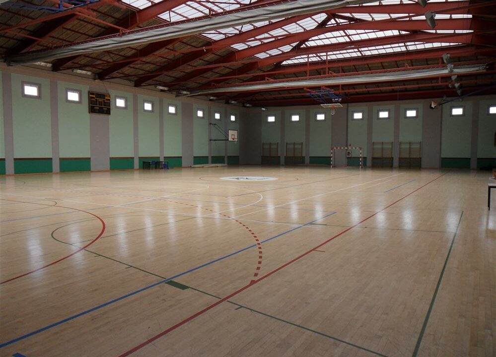 5 millones de euros para reparar las goteras de los polideportivos de Sestao