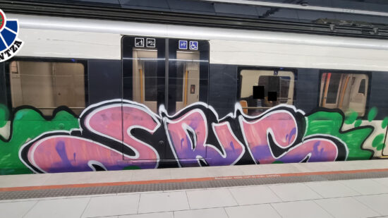 La Ertzaintza detiene a cuatro jóvenes por sabotear la vía férrea y hacer grafitis en un tren de Euskotren en Bedia