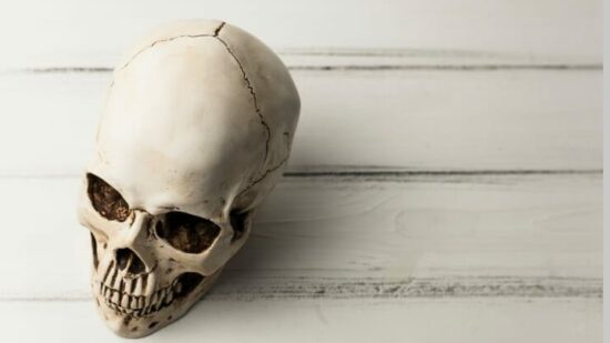 El cráneo de Rekalde no  pertenece a la Facultad de Medicina de la EHU: «No nos falta nada en el inventario»