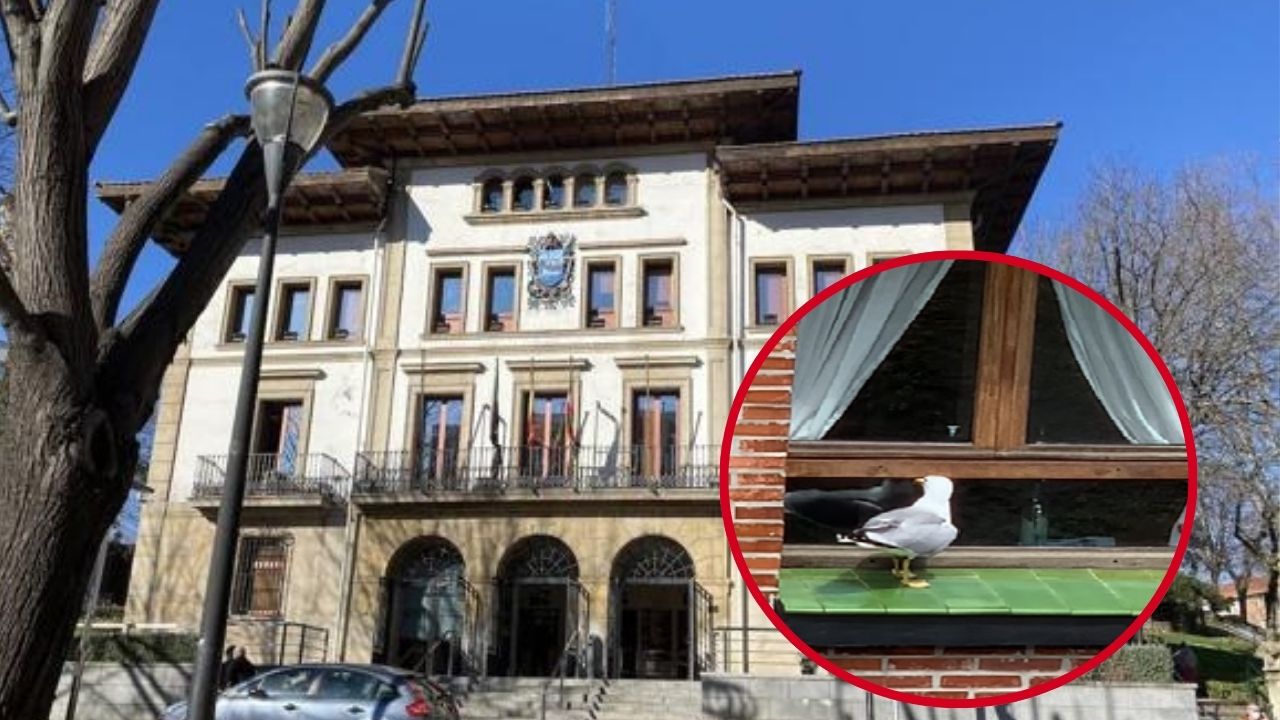 Sestao planta cara a las gaviotas: arranca la campaña para controlar nidos en edificios
