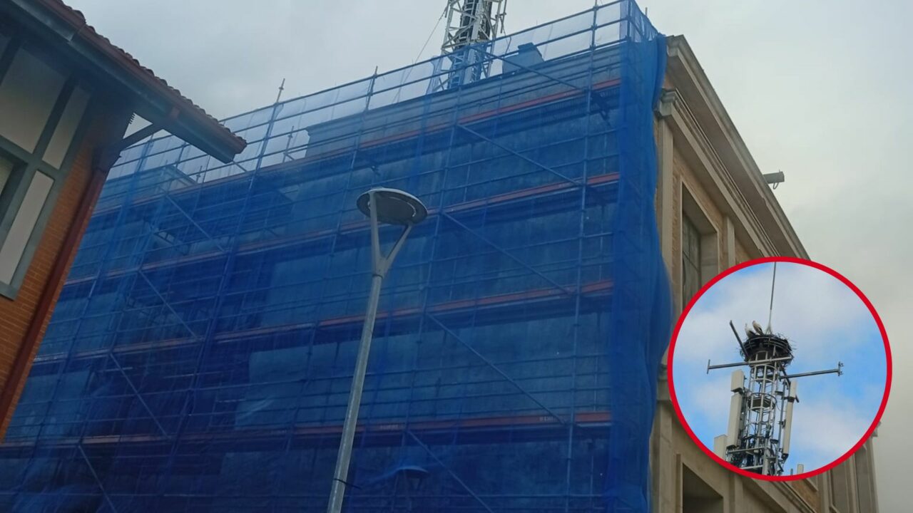 El andamio de Gorliz que pone en peligro un nido de cigüeñas