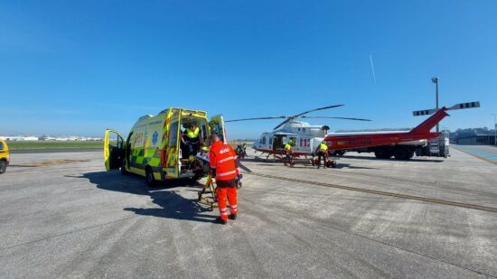Una víbora deja en estado grave a un senderista vizcaino en Cantabria