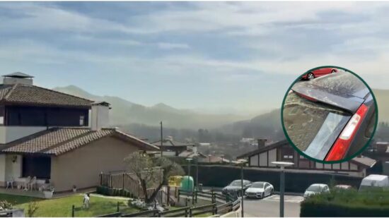 El polen llega a Euskadi: estas son las recomendaciones