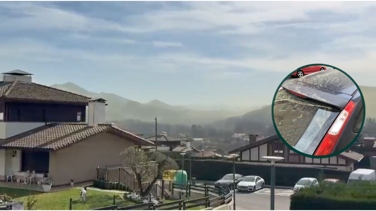 El polen llega a Euskadi: estas son las recomendaciones