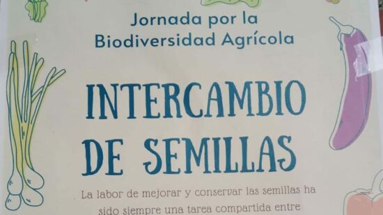 Domingo de intercambio en Castro Urdiales: trae tus semillas y apuesta por lo local