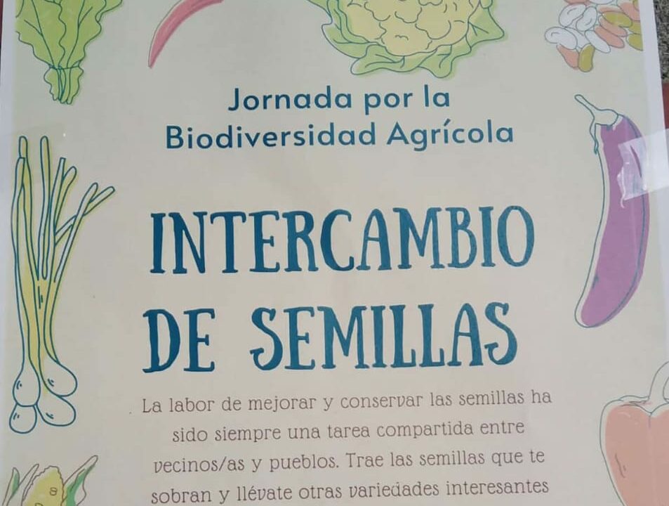 Domingo de intercambio en Castro Urdiales: trae tus semillas y apuesta por lo local