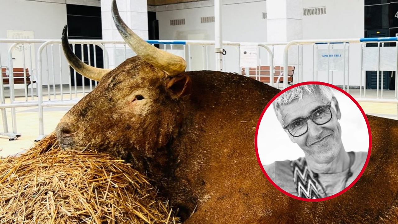 Andoni Bastarrika, el artista vasco que da vida a los animales con la arena