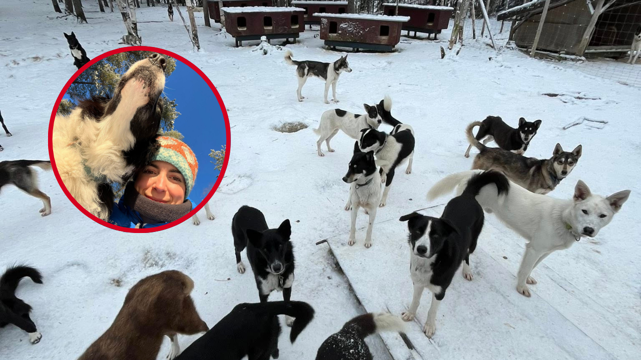De trabajar en un resort en Finlandia a convertirse en cuidadora de huskies