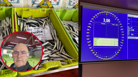 “La anchoa buena se está pagando a unos 3 euros el kilo en la lonja”: así arranca la costera en Euskadi