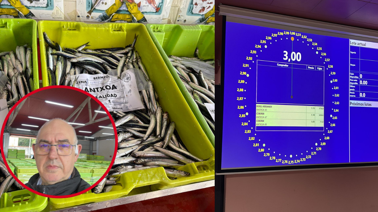 “La anchoa buena se está pagando a unos 3 euros el kilo en la lonja”: así arranca la costera en Euskadi