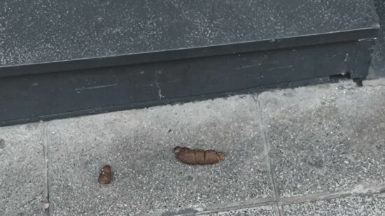 “Cada mañana tenemos que empezar el día quitando cacas de perro de la puerta”: vecinos de Basauri apelan al civismo