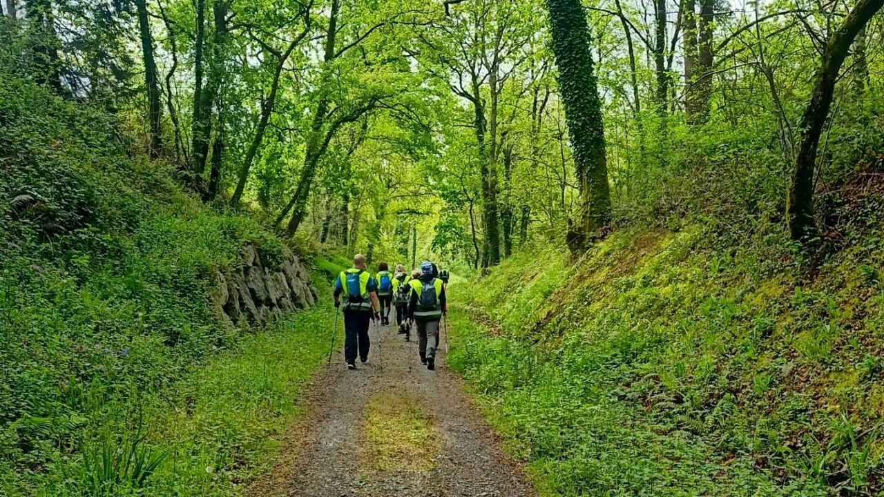 Marcha nórdica en la Vía Verde Montes de Hierro: talleres y caminatas para descubrir el antiguo ferrocarril minero