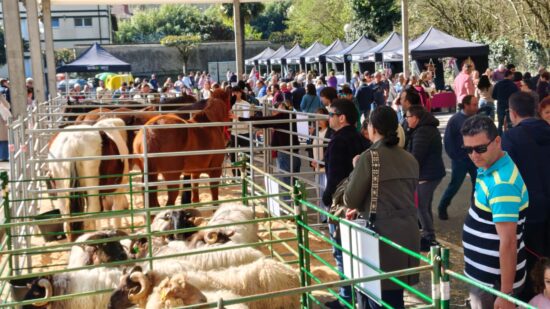 Güeñes reúne tradición, ganado y producto local en la Feria de San José