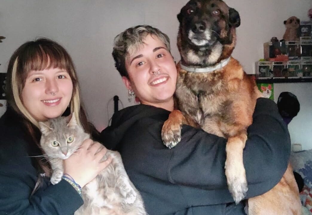 “Nos han llegado a pedir que nos deshagamos de ellos”: el drama de alquilar con mascotas en Bilbao