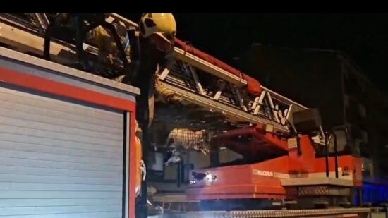 Rescatan a un gato atrapado en una palmera en Aranguren