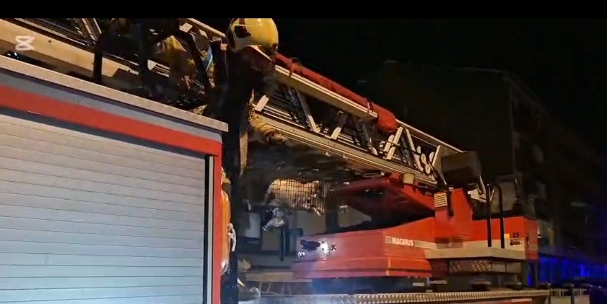 Rescatan a un gato atrapado en una palmera en Aranguren