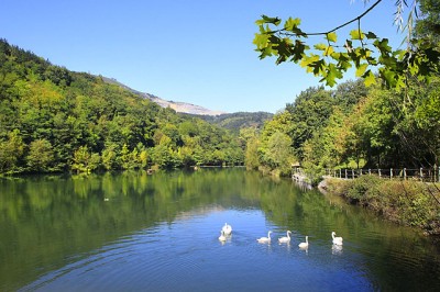 Arrigorriaga impulsa su pulmón verde con una inversión de 180.000 euros en Mendikosolo